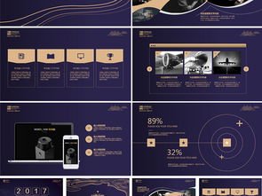 智策咨询 专业商务信息咨询解决方案